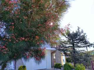 Extérieur, villa au Luc